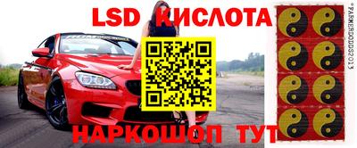 прущие крисы Кунгур