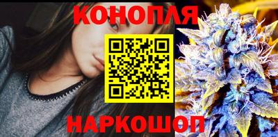 прущие крисы Кунгур
