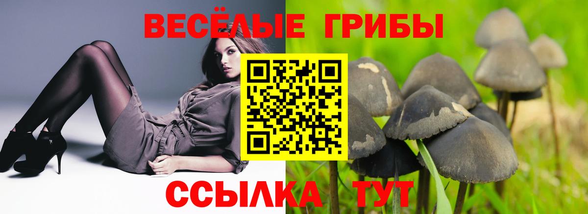 Псилоцибиновые грибы Psilocybine cubensis  Вход с VPN  Ирбит 